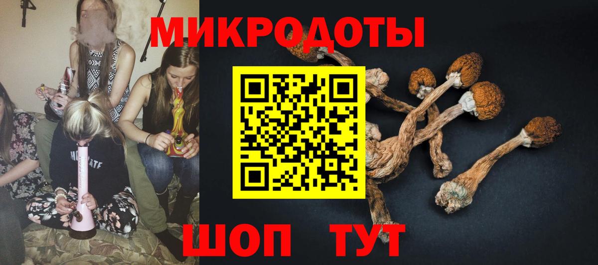 Королёв  Галлюциногенные грибы мухоморы  Вход с VPN 